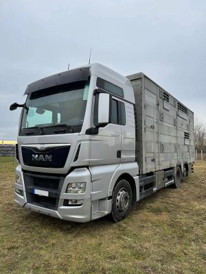 MAN TGX 2015