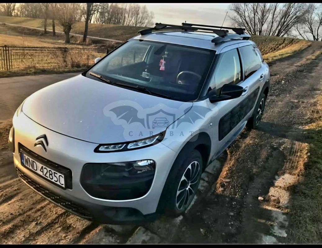 Citroën C4 Cactus 1.2 PureTech Live EU6 2017