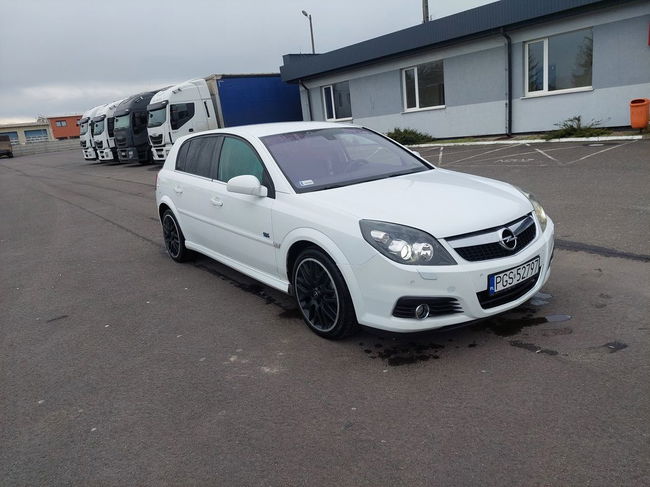 Opel Signum 2008