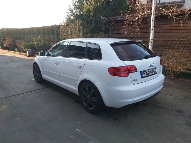 Audi A3 8P 1.6 TDI Sportback DPF Ambition 2011