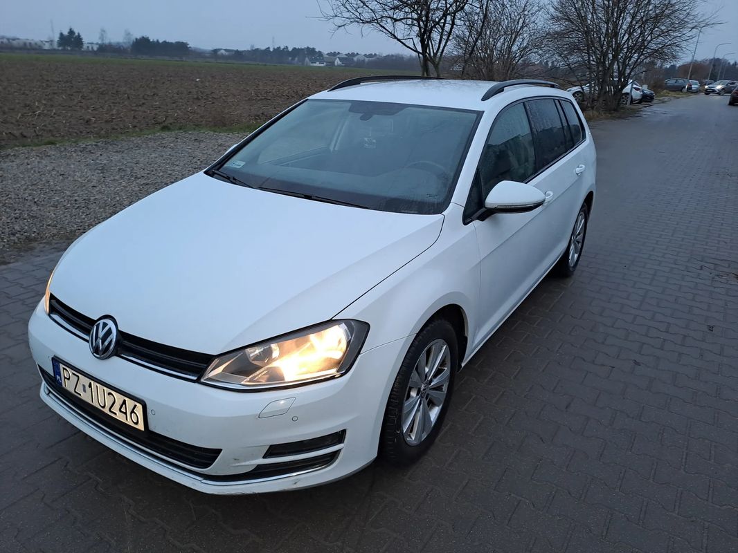 Volkswagen Golf VII VII 1.6 TDI BlueMotion Trendline 2016