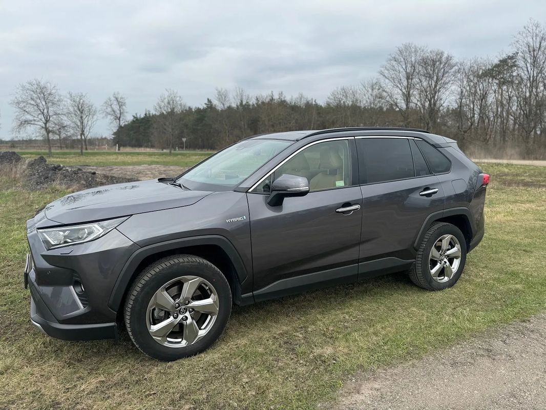 Toyota Rav4 V 2.0 Executive 4x4 MS 2019