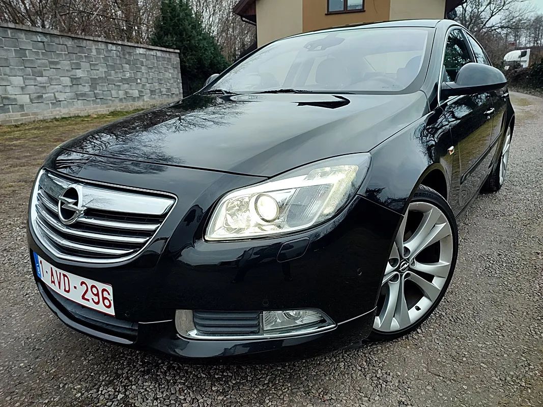 Opel Insignia A 2.0 CDTI ecoflex Business Edition 2010