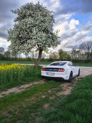 Ford Mustang 2.3 Eco Boost 2020