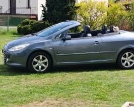 Peugeot 307 1.6 2008
