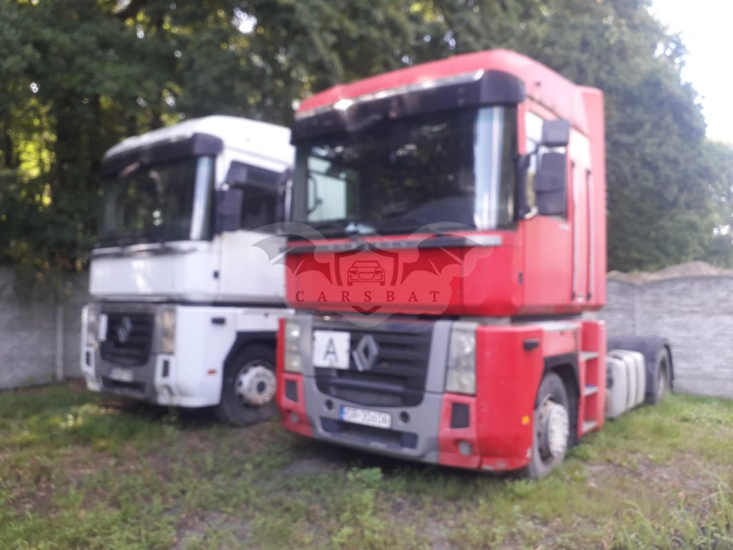 Renault Magnum 2012