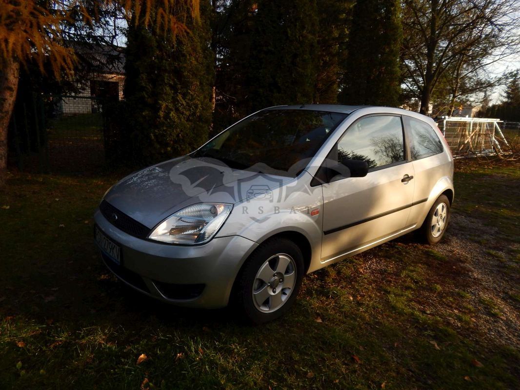 Ford Fiesta Mk6 1.25 Trend 2003