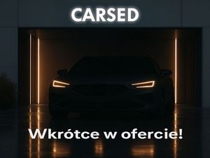 Skoda Octavia IV 2.0 TDI 4x4 RS DSG 2022