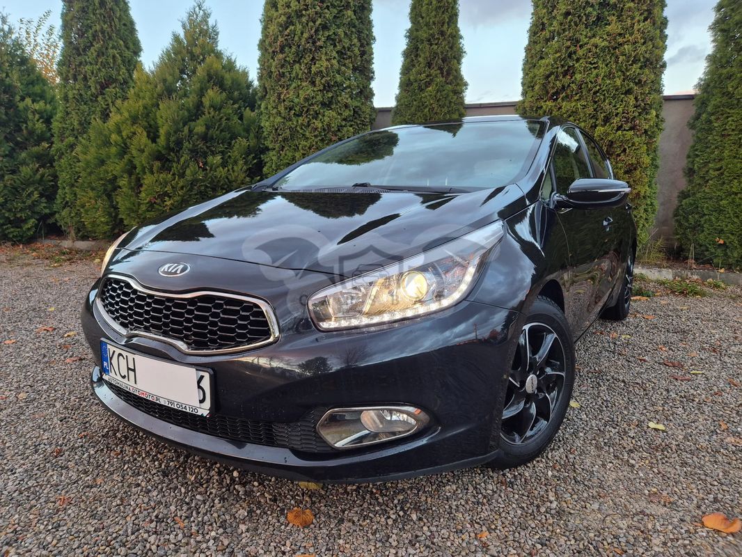 Kia Ceed II 1.6 GDI Edition 7 2016