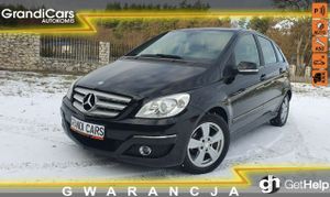 Mercedes-Benz B W245 200 CDI EU5 2010