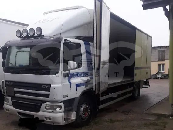 Daf 2007