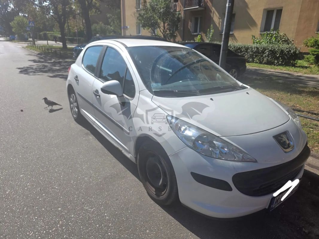 Peugeot 207 2010