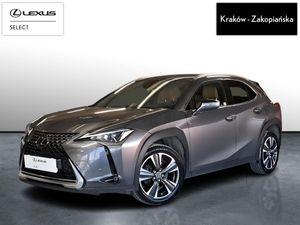 Lexus UX 250h GPF Business 2WD 2023