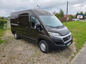 Fiat Ducato 2019