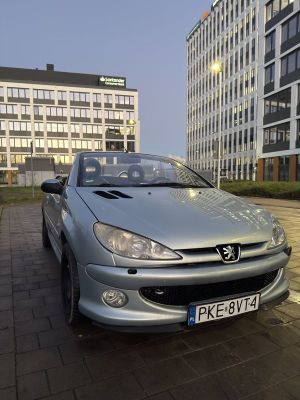 Peugeot 206 110 Quiksilver 2003