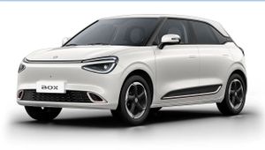 Dongfeng Box 2025