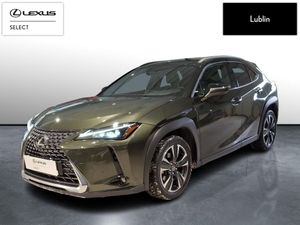 Lexus UX 300h Business 2024