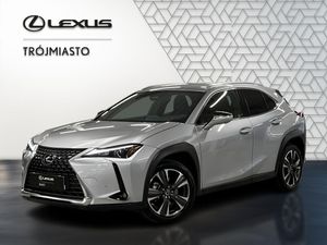 Lexus UX 300h Business 2024