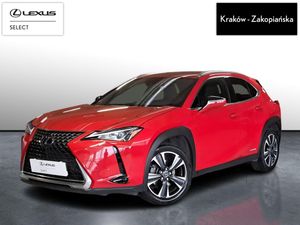 Lexus UX 250h GPF Business Edition 2WD 2020
