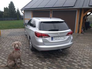 Opel Astra K 1.5 D Start/Stop Business Elegance 2021