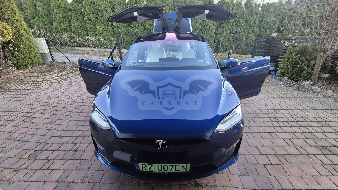 Tesla Model X Long Range AWD Palladium 2023