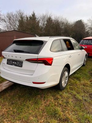 Skoda Octavia IV 2.0 TDI DSG Base 2021