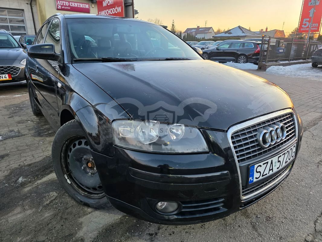 Audi A3 8P 2.0 TDI DPF quattro Attraction 2005