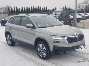 Skoda Karoq 2.0 TDI SCR 4x4 DSG Clever 2024