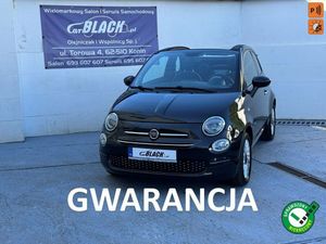Fiat 500 2019