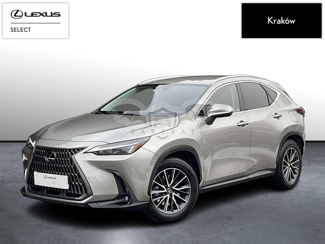 Lexus NX II 2023