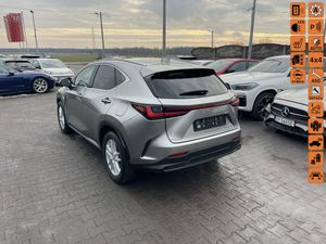 Lexus NX II 450h+ E-FOUR 2023