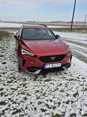 Cupra Formentor 1.5 TSI DSG 2021