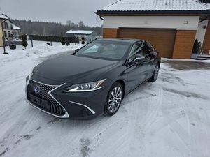 Lexus ES 300h Business Edition 2020