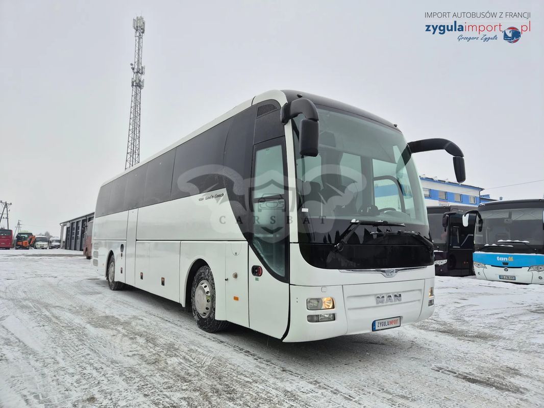 MAN Lion's Coach 2015