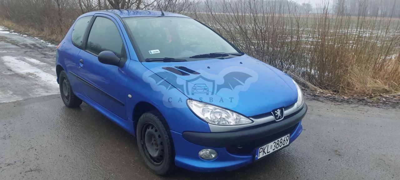 Peugeot 206 2003