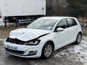 Volkswagen Golf VII 1.6 TDI BlueMotion Technology Trendline 2015