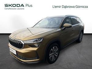 Skoda Kodiaq II 2.0 TDI 4x4 Selection DSG 2024