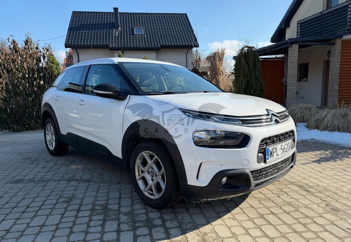 Citroën C4 Cactus 1.5 BlueHDi Feel 2019