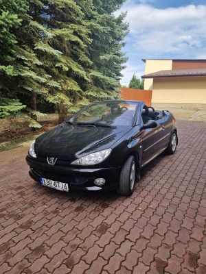 Peugeot 206 2004