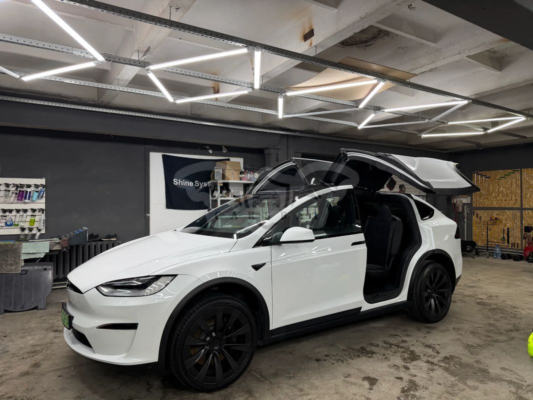 Tesla Model X Long Range AWD Palladium 2023