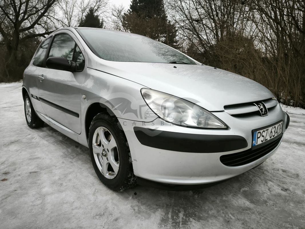 Peugeot 307 I 1.4 XR 2003