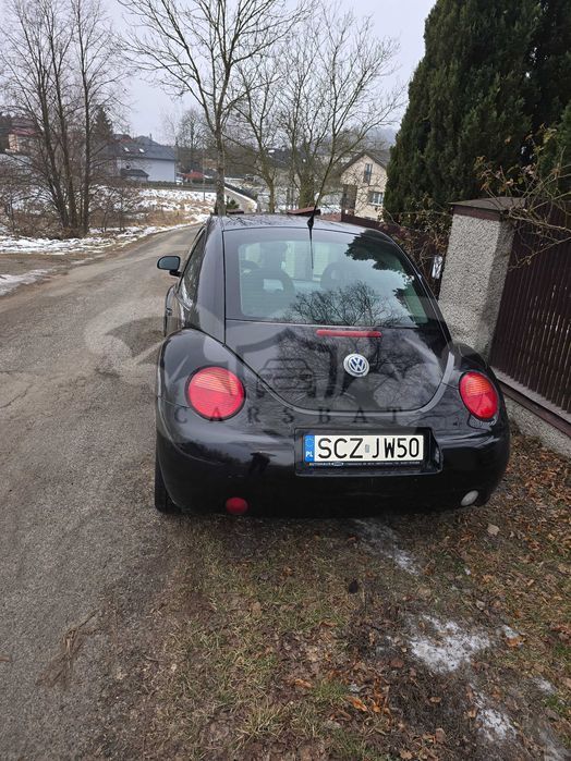 Volkswagen Beetle 2.0 1999