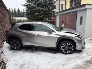Lexus UX 2021