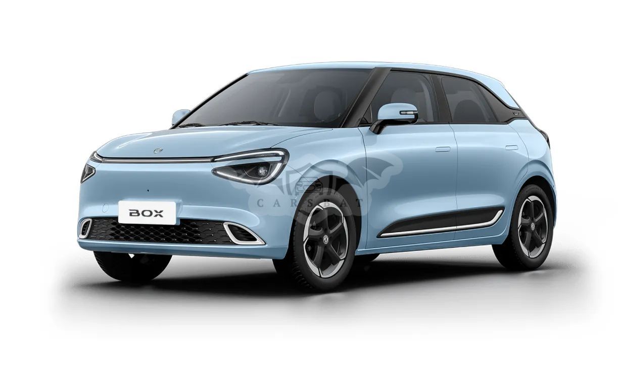 Dongfeng Box 2025