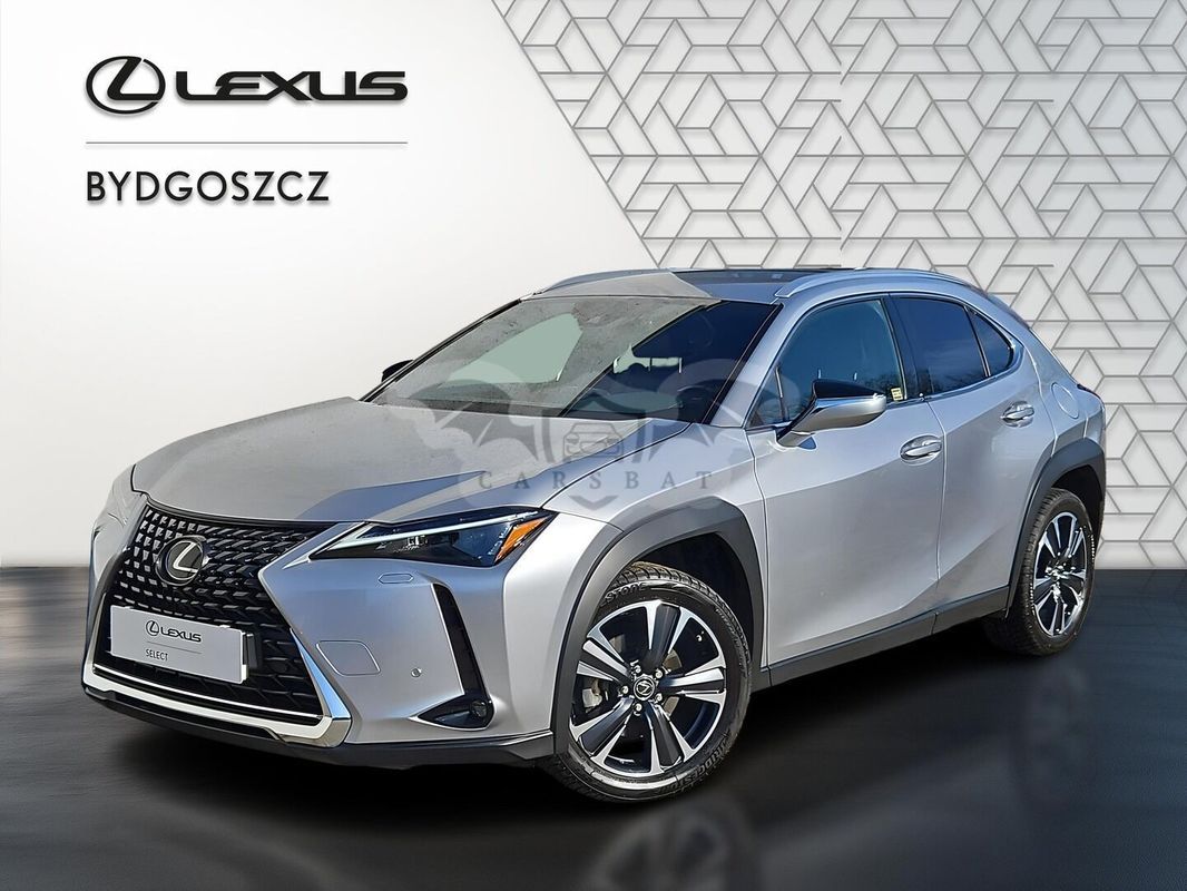Lexus UX 250h GPF Business 2WD 2022