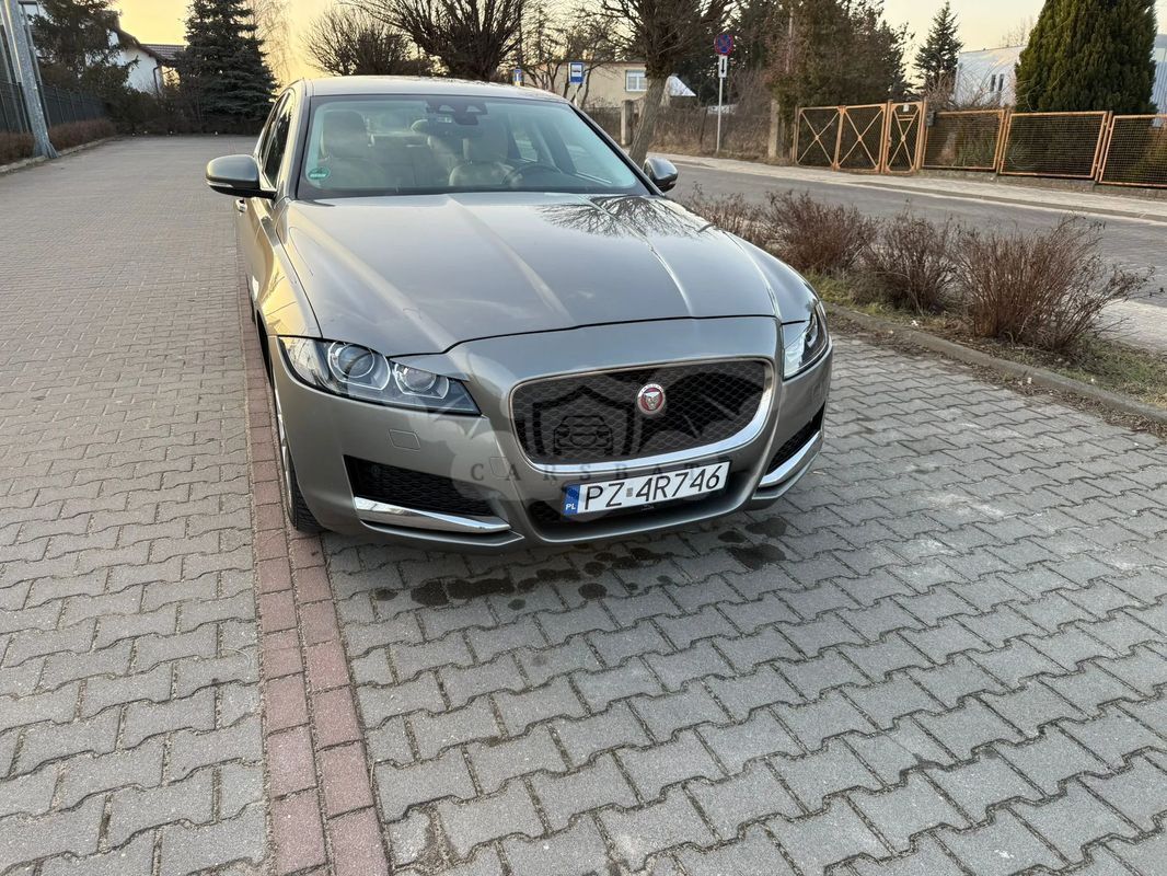 Jaguar XF X260 20d Portfolio 2019