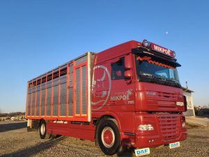 DAF XF 2012