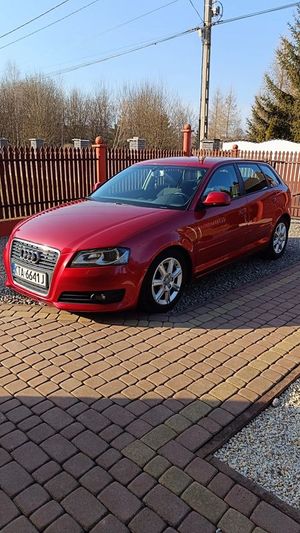 Audi A3 8P 1.6 TDI DPF Attraction 2010
