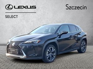 Lexus UX 250h GPF Business 2WD 2022