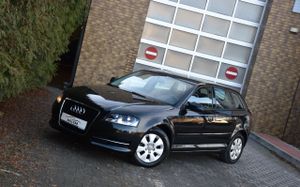 Audi A3 8P 1.6 TDI DPF Ambiente 2011